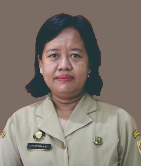 CIPTATI RAHAYU, S.Kom